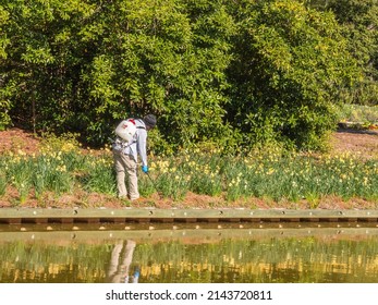 NORFOLK, VA, USA - MARCH 28, 2022: A gardener wearing a backpack pressure sprayer treats plants by a bed of spring flowers in bloom by a reflecting pond on a sunny morning at Norfolk Botanical Garden.