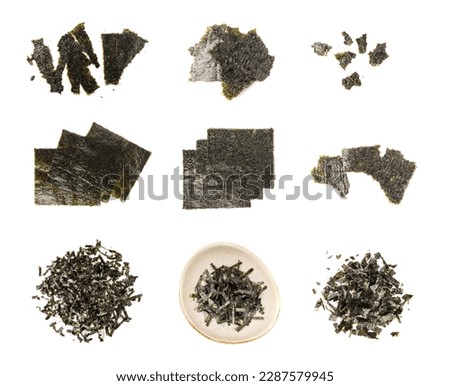 Nori Pieces Isolated, Dried Aonori Seaweed Flakes, Dry Sea Weed Torn Sheet, Seaweed Crumbles, Nori Seaweed Pieces, Furikake on White Background Top View