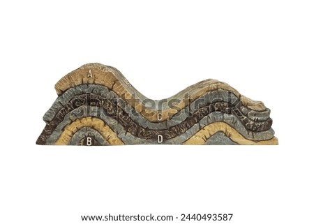 Normal anticlines and synclines model in geology. Concordant and Discordant Strata rock model isolated on white background.