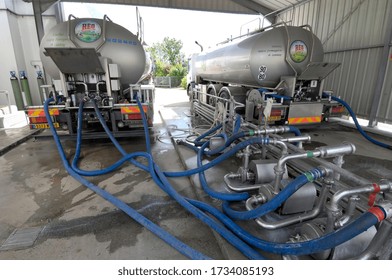 Normandy, France, April 2008.
Collection of milk by Reo dairy plant. Milk tanker trucks in the unloading area. Employee emptying the tank