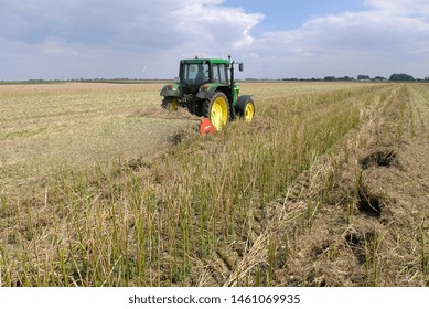 Normandy, France, July 2007.
Crushing Rapeseed Stem After Harvest With A Straw  Chopper