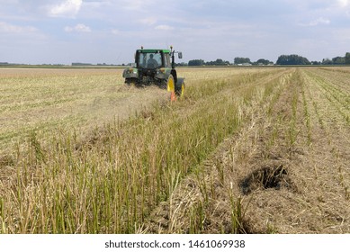 Normandy, France, July 2007.
Crushing Rapeseed Stem After Harvest With A Straw  Chopper