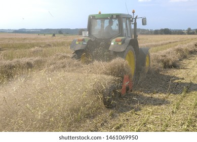 Normandy, France, July 2007.
Crushing Rapeseed Stem After Harvest With A Straw  Chopper