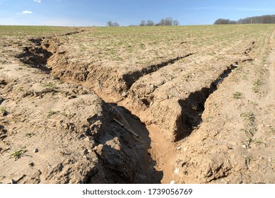 Normandy, France, March 2010.
Soil Erosion. Formation Of Gullies In A Wheat Field Due To Runoff Of Rainwater