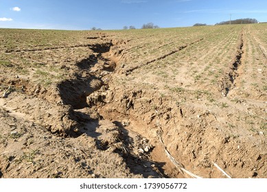 Normandy, France, March 2010.
Soil Erosion. Formation Of Gullies In A Wheat Field Due To Runoff Of Rainwater