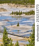 Norris Basin at Yellowstone National Park 