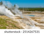 Norris Geyser Basin with geyser volcanic activity and steam, Yellowstone national park, Wyoming, USA.