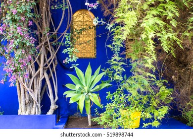 North Africa,Morocco,Marrakech,Jacques Majorelle Botanical Gardens. 12 Acres, Designed In The 1920s And 1930s.