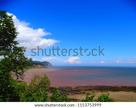 North America, Canada, Province of New Brunswick, Fundy National Park, Bay of Fundy
