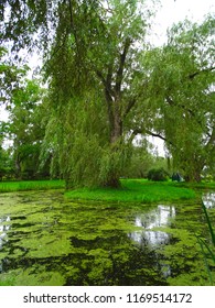 North America, Canada, Province Of Nova Scotia, Grand Pre National Historic Site