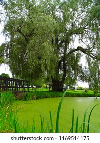 North America, Canada, Province Of Nova Scotia, Grand Pré National Historic Site