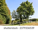 North america fall landscape trees from the bottom eastern townships Granby Quebec province Canada