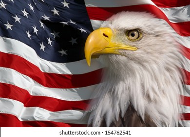 American Eagle High Res Stock Images Shutterstock