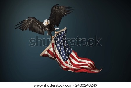 North American Bald Eagle with American flag