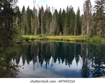 North Arm Of Timothy Lake