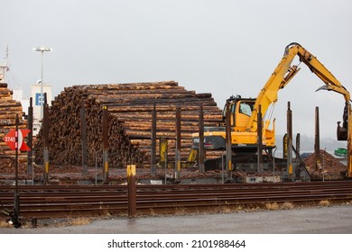 North Bend, Oregon, United States - 09-17-2021: A View Of A Large Pile Of Tree Logs Seen At A Local Logging Yard. 