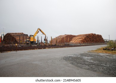 North Bend, Oregon, United States - 09-17-2021: A View Of A Large Pile Of Tree Logs Seen At A Local Logging Yard. 