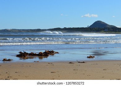 North Berwick Law From Yellowcraigs Beach