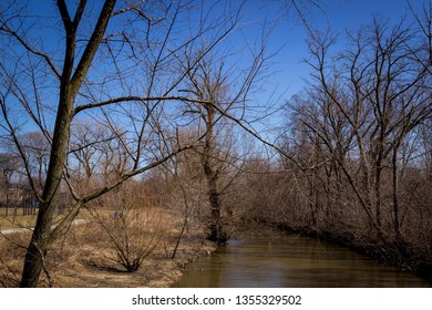 North Branch Of Chicago River In Early Spring