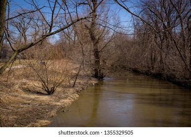 North Branch Of Chicago River In Early Spring