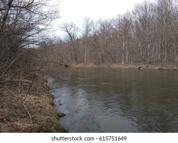 North Branch Of The Flint River