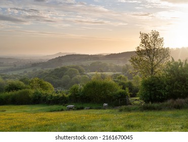 North Cotswolds Near Chipping Campden At Dawn, England