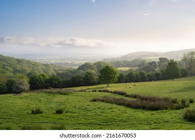 North Cotswolds Near Chipping Campden At Dawn, England