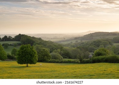 North Cotswolds Near Chipping Campden At Dawn, England