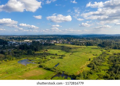 North Creek Wetlands In Snohomish County, Washington