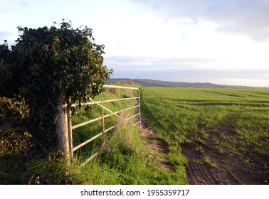 North Devon Exploring the Countryside