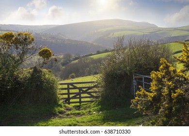 North Devon Landscape, England