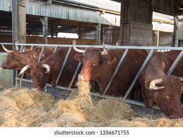 Uk Farm Barn Images Stock Photos Vectors Shutterstock