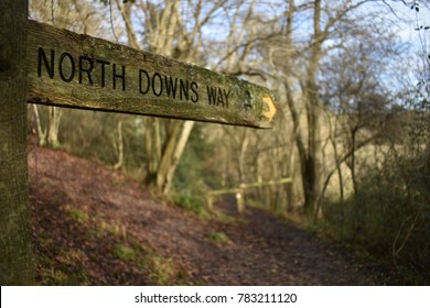 North Downs Way fingerpost set within a woodland section of the southern England hiking route within the Surrey Hills.