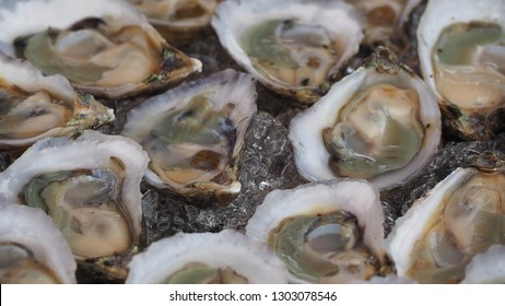 North Florida Oysters On The Half Shell