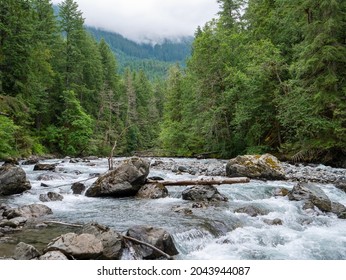 North Fork Of The Nooksack River