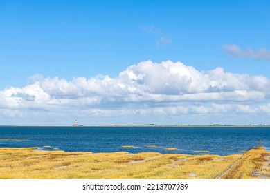 North German West Coast Landscape