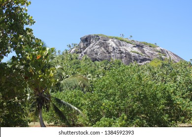 North Island Seychelles Beach Indian Ocean Palms