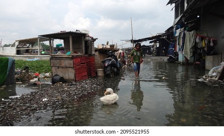 North Jakarta, Indonesia - Dec 23, 2021: Sea Level Rises On The Coast Of North Jakarta.