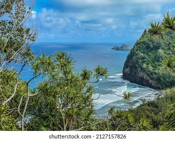 North Kohala Pololu Valley Hawaii