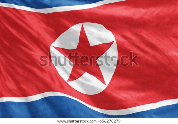North Korean flag\
full-frame close-up