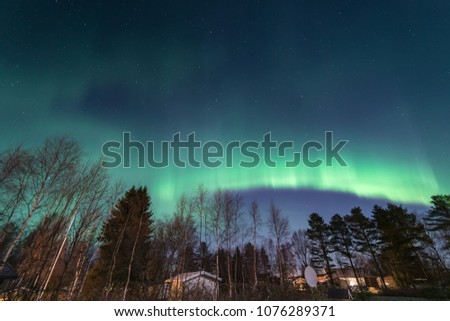 north light aurora lights above trees on night sky at swedish countryside, north of country, village, small cottages and satellite dish, copy space 