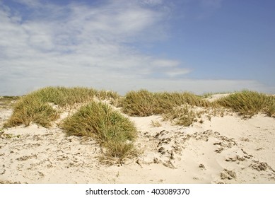 North Padre Island