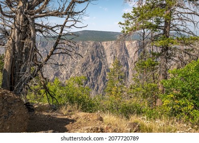 The north rim of the Black Canyon of the Gunnison, from a trail on the south side of the park