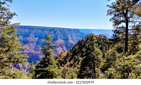 North Rim Blue Sky Trees