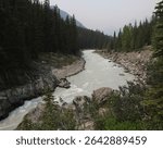 North Saskatchewan River Viewpoint, Icefields Parkway, Alberta, Canada