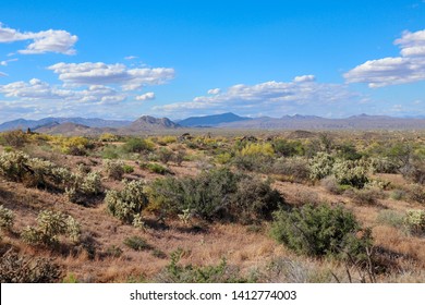 North Scottsdale Arizona Spring Landscape