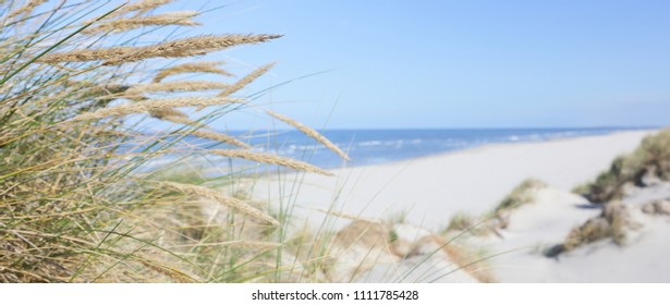 Belgien Strand Hd Stock Images Shutterstock