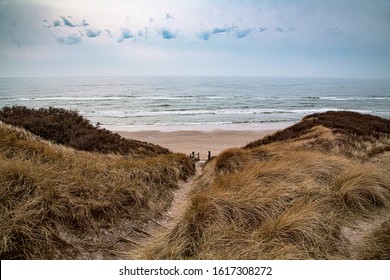 North Sea Beach, Jutland Coast In Denmark