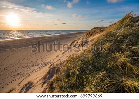 North sea beach, Jutland coast in Denmark