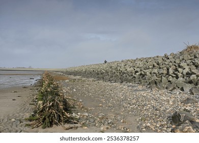 
North Sea dike at low tide in Schleswig-Holstein - Powered by Shutterstock